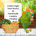 Lafeber - Nutri-Berries Garden Veggie aux légumes 284 gr pour perroquets