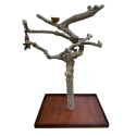 Arbre de Java sur roulettes XL AL30547 pour grand perroquet
