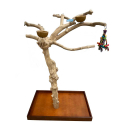 Arbre de Java L sur roulettes pour grand et moyen perroquet BL62559