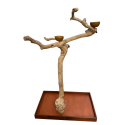 Arbre de Java L sur roulettes pour grand et moyen perroquet BL62562