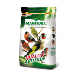 Manitoba Carduelidi Chardonneret