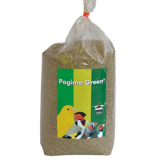 Pagima Green - Pagima Vert semence de graminée pure 750gr