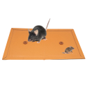 2 plaques de glu professionnelles avec attractif pour rongeurs, rats et souris