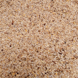 Carduelis Chardonneret Gold Excellent 2kg - Bird Supreme Top Carduelis