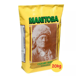 Alpiste Manitoba graines oiseaux