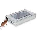 Piège à souris galvanisé avec fenêtre