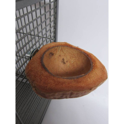 Back Zoo Nature Mangeoire en noix de coco pour perruche et perroquet