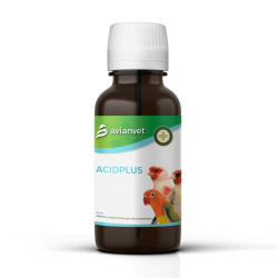 AcidPlus Digestion et PH Control Acidifiant pour l'eau des oiseaux - Avianvet 150ml