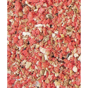 Nutribird Gold Crumble Pâtée Sèche Oiseaux Facteur Rouge - 1kg