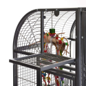 Cage perroquet Montana