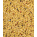 Gold Pâtée Humide Grandes Perruches et Perroquets 1kg - NutriBird