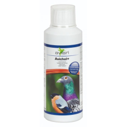 Aves-Avian AviChol+ Choline protecteur du foie et mue - 250ml