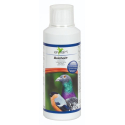 Aves-Avian AviChol+ Choline protecteur du foie et mue - 250ml
