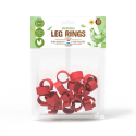 Bagues à clips diamètre 16 mm pour poules - Par 25