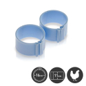 Bagues à clips diamètre 16 mm pour poules - Par 25