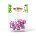 Bagues à clips diamètre 16 mm pour poules - Par 25