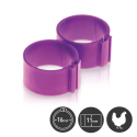 Bagues à clips diamètre 16 mm pour poules - Par 25