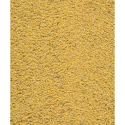 Nutribird Gold Pâtée Humide Perruches et Petits Perroquets - 1kg