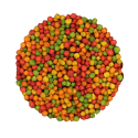 Zupreem extrudés FruitBlend grandes perruches