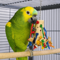Bambou Puzzle - Jouet perroquet bambou et cordes colorées