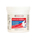 Muscle Power - Développement musculaire du pigeon