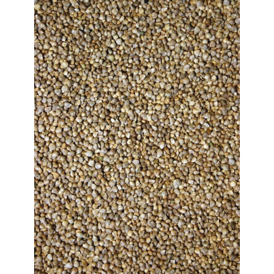 Graines d'épinard - Graines oiseaux 1kg