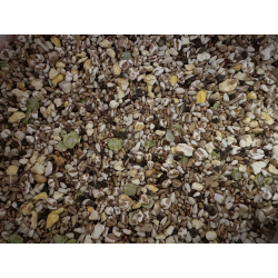 Prestige classique perroquets régime super diet prestige versele laga