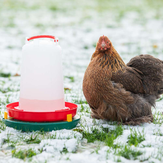 Chauffe abreuvoir 30 cm