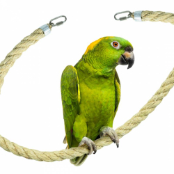 Corde en Sisal 25 mm 100 cm Perchoir oiseaux perruche - Back Zoo Nature