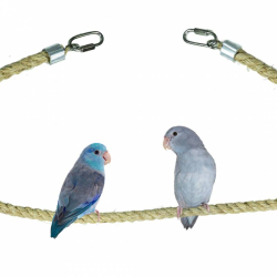 Corde en Sisal 12 mm 200 cm Perchoir perroquet - Back Zoo Nature