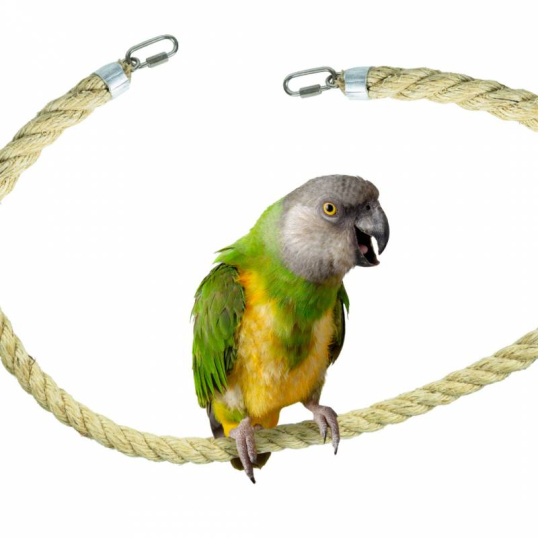 Corde en Sisal 25 mm 200 cm Perchoir oiseaux perruche - Back Zoo Nature