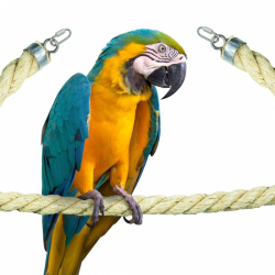 Corde en Sisal 35 mm 200 cm Perchoir perroquet - Back Zoo Nature