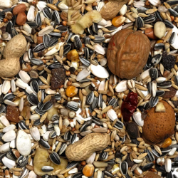 Exotic Nuts Mix Mélange de Graines et noix pour Perroquet Versele - 5kg