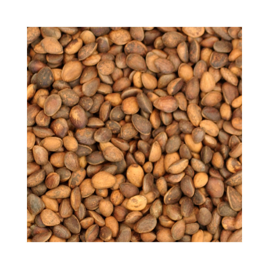 Noix de cèdre en coque pour perroquet - 1kg