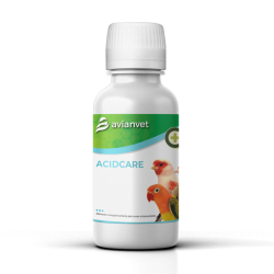Acidcare 100ml - Avianvet