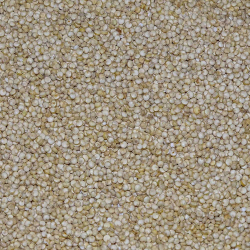 Quinoa Manitoba 25kg