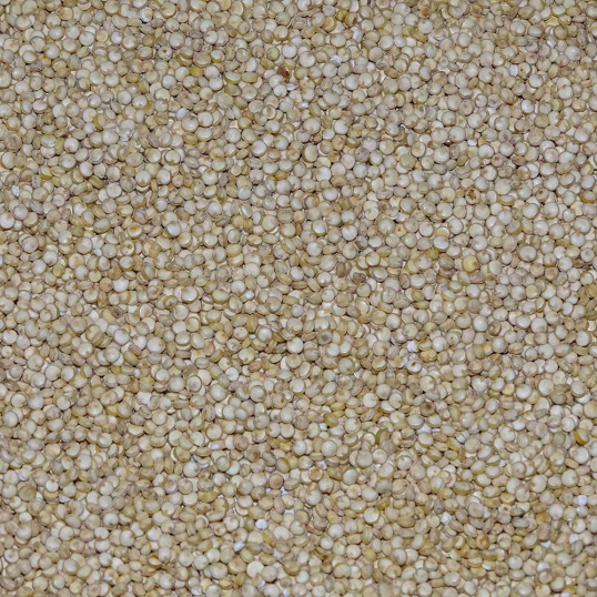 Quinoa Manitoba 25kg