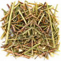 Matériaux Nids perruches et Perroquets 250gr - Sisal Fibre