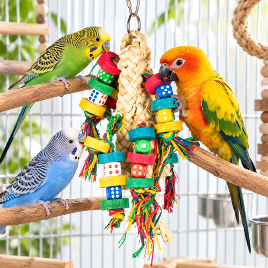 Jouet à déchiqueter Slices & Dices pour oiseaux - Petlala