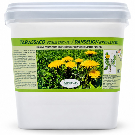 Feuille de pissenlit moulue - 1kg