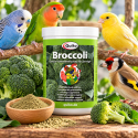 Quiko Broccoli 100 g – Brocoli lyophilisé pour oiseaux