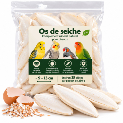 Os de seiche pour oiseaux 250 g – Environ 25 pièces