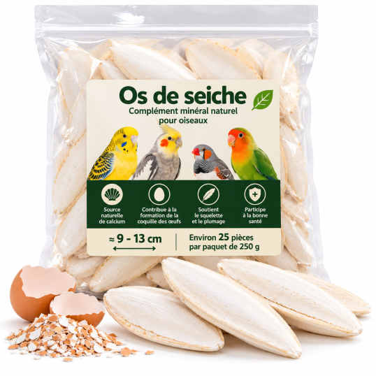 Os de seiche pour oiseaux 250 g – Environ 25 pièces