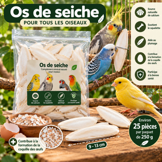 Os de seiche pour oiseaux 250 g – Environ 25 pièces
