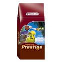 Premium Estrildés africains