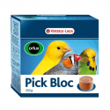 Pick Bloc