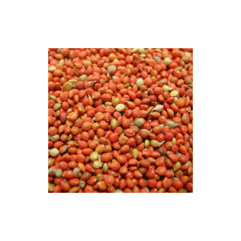 Graines Oiseaux Du Ciel 20 Kg Gamm Vert