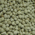 Graines de Perilla blanc Manitoba 1kg