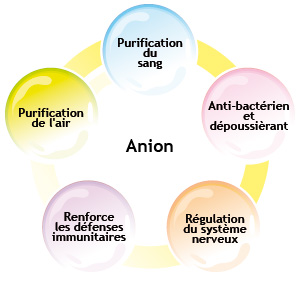 Bird Pavilion effet des anions