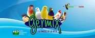 Germix